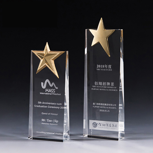 Custom acrylic plastic corporate trophy award